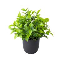 Planta falsa pequeña realista con maceta negra, eucalipto, lavanda, bonsái verde en maceta, plantas artificiales para el hogar y la Oficina, 2 uds. - details 3
