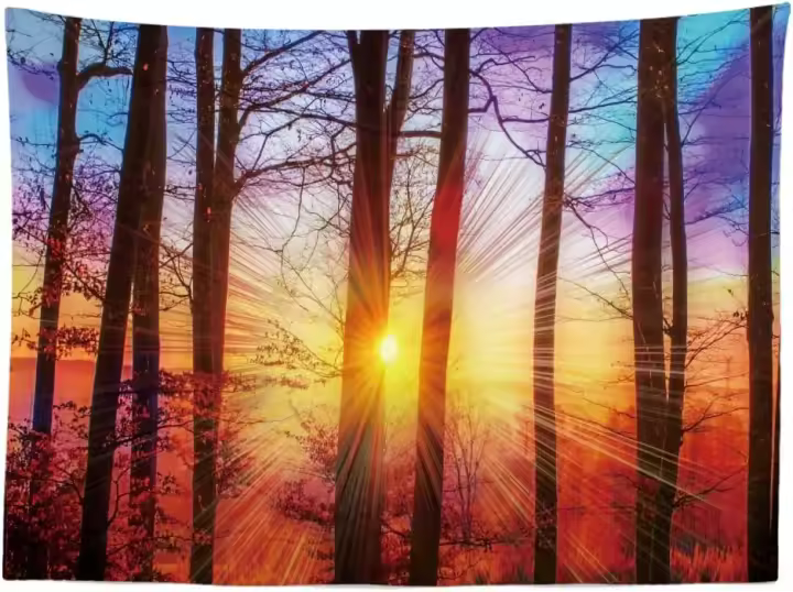 Decoración Casa - árboles Puesta de Sol Paisaje Grande Murales Alfombra Tapiz Pared - Tapices Decorativo para Habitacion Dormitorio Salon - 1