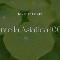 SKIN1004 Ampolla de Centella de Madagascar 100 ml 3.38 fl.oz - details 14
