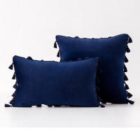 Bonenjoy 1 funda de cojín con borlas, funda de almohada de terciopelo, fundas de almohada de color sólido para decoración de sofá/cama/coche, 30x50/45x45/50x50 - details 23