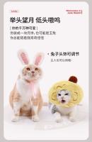 【 petstar_ Box Set 】 Palo de burla de juguete Auriculares para mascotas Manta Mooncake Paquete de regalo Universal para gatos y perros - details 1