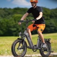 FAFREES FF20 Polar Bicicleta Eléctrica, SHIMANO de 7 velocidades, frenos de disco mecánicos, pantalla LCD en color, motor de 860W, batería de 48V 20.8AH, suspensión delantera, alcance de 96-115km, neumático inflable de 20*4,0 pulgadas, azul - details 1