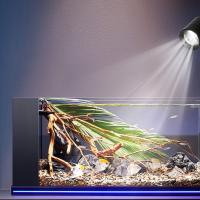 Mini lámpara ajustable con Clip, luz LED impermeable para acuario de 3W, ahorro de energía, USB, luz para plantas de acuario, accesorios para acuario - details 2