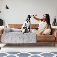 Perrera mullida Hug, Funda Protectora para Sofá, Talla XL, para Perros Medianos y Grandes - details 2