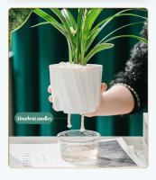 Nueva planta de rosa verde perezosa, absorbente automático pequeño ETA, diseño significativo, fregadero de plástico hidropónico transparente - details 4