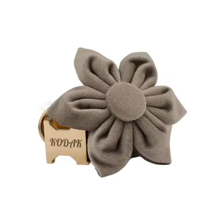 Juego de Collar y correa de terciopelo para perro, placa de identificación grabada personalizada, suministros para mascotas - 1