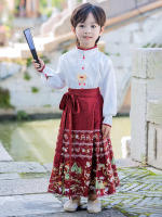 Conjunto de Falda Hanfu para Niñas Otoño 2025 Traje de Estilo Chino Antiguo para Actuaciones de Recitación Zapatos y Ropa - details 25
