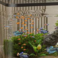 Tanque de peces transparente duradero con tapa, peceras hidropónicas resistentes a caídas, pequeño tanque de acuario Betta para decoración del hogar - details 10