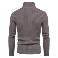 Suéter de cuello alto para hombre, suéter de punto ajustado, camisa de fondo, cálido, Color sólido, moda de otoño e invierno - details 17