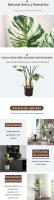 70/80cm Árbol artificial de Monstera Tropical Plantas falsas en maceta Planta de interior Hojas de imitación para el hogar Jardín Decoración al aire libre - details 1