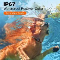 Collar de entrenamiento remoto para perros, 1000M, IP67 resistente al agua, resistente a las vibraciones, entrenador de mascotas recargable, tope antiladridos para 2 perros - details 5