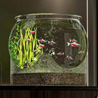 Pecera redonda Ultra transparente, tanque de visualización extraíble de plástico, decoración decorativa de escritorio con vista de 360 grados, pequeño acuario, decoración de escritorio - details 6