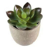 Plantas Suculentas Realistas Mini Jardines Nsai para Decoración del Hogar, Balcón, Oficina - details 0