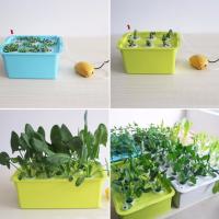 Kit hidropónico para sitio de plantas, macetas de jardín, plántulas, caja de cultivo interior, Kit de cultivo, macetas de vivero de burbujas, 1 Juego, 24 agujeros - details 2