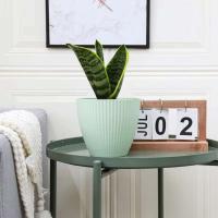 Macetas de cerámica de colores modernas para vivero de jardín, macetas de plástico para plantas de interior - details 6