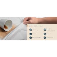 Bed Bugs P - A+ P ES
