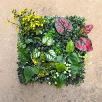Panel de pared de plantas artificiales DIY, girasol, vida eterna, alfombra de eucalipto Artificial, sin riego, protección UV - details 32