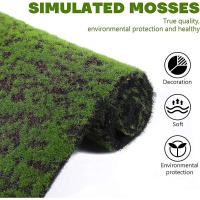 Alfombra de musgo, alfombra de césped artificial de 1x1M, plantas de líquenes, césped doméstico, jardín, patio, decoración de bricolaje - details 2