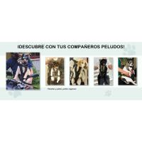 allsopets