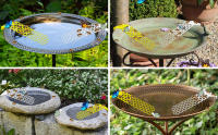 Escalera Flotante de Abejas Paquete de 2 Ideal para Tazas de Abejas de Jardín y Baño de Pájaros - details 5