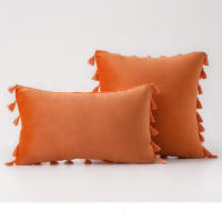Bonenjoy 1 funda de cojín con borlas, funda de almohada de terciopelo, fundas de almohada de color sólido para decoración de sofá/cama/coche, 30x50/45x45/50x50 - details 8