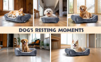 Nobleza - Cama Perro Grandes, Cama para Perro Lavable, Cama de Perros Medianos Antideslizantes con Relleno de Fibras Super Suave, Cama para Mascotas Pequeños - details 2