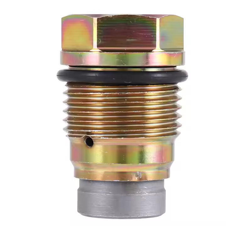 1110010015 1110010017 1110010018 1110010028   Válvula limitadora de alivio de presión de riel de combustible para DAF FORD KIA VOLVO SUZUKI - 1