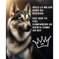 BedDog Zara - Cama para Perro con Funda Extraíble y Lavable, Sofá para Perros Mediano XL - details 6