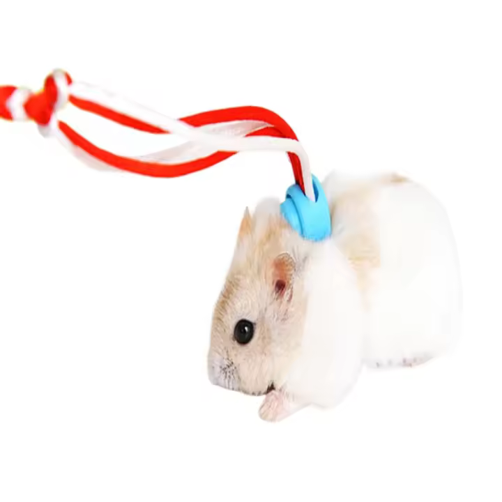 Correa Ajustable para Mascotas Cuerda de Algodón para Hamster, Conejo, Ratón - 1