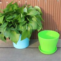Flor interior decorativa para el hogar para plantas, macetas de plástico para jardín, venta al por mayor - details 7