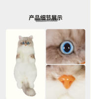Muñeca de Gato Montés de Café Muñeca de Peluche de Lujo Internet Famous - details 10