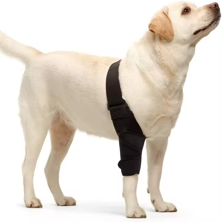 Rodillera ajustable para Perros, Soporte ajustable para Perros - 1