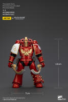 JOYTOY Figura de Acción Horus Heresy Legión de Mil Hijos del Tacticante MK IV - details 49