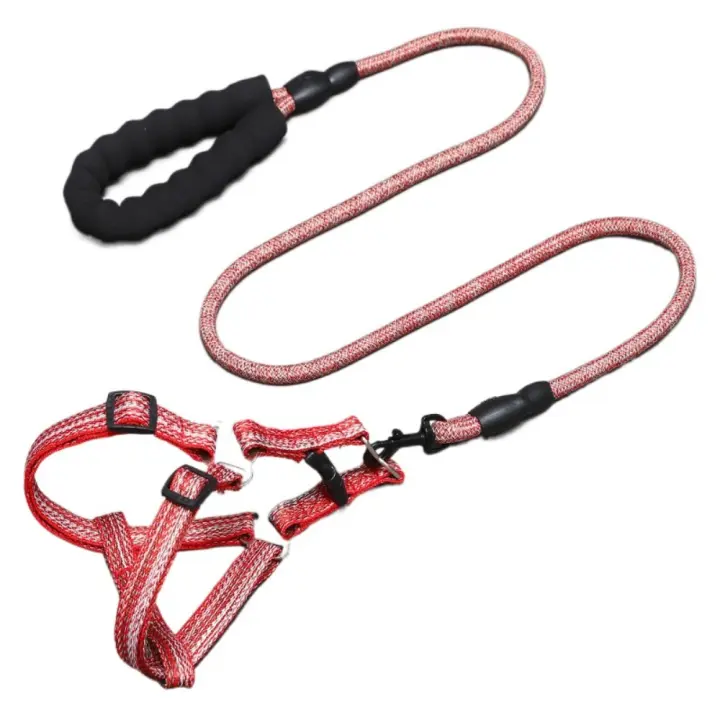 Conjunto de arnés y correa ajustables para perros, correa de pecho suave y ligera para mascotas, Collar cómodo a prueba de Escape para gatos, correa para cachorros - 1
