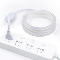 Tira de luces LED de 220V, cinta de lámpara Flexible de alto brillo, resistente al agua, con interruptor, para decoración de cocina, jardín y habitación al aire libre, 2835 - details 1