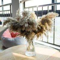 20 piezas de regalo para boda, ramo de flores secas, hierba de Pampas, Phragmites, decoración del hogar - details 0