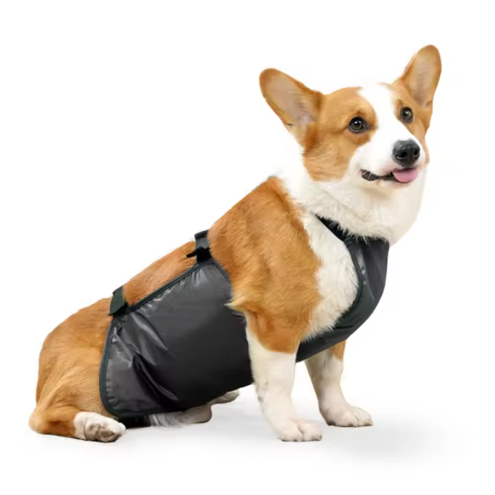Chaleco Transpirable Impermeable para Perros Vestido Anti-Suciedad a Prueba de Viento para Mascotas - 1