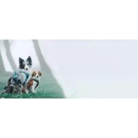 Correa de Nylon Suave Reflectante para Mascotas No Tira, Inestable para Perros Pequeños y Grandes - details 0