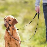 Set de Obstáculos TRIXIE para Perros Suministros de Mascotas Auxilios de Entrenamiento y Comportamiento - details 3