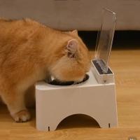 Comedero inteligente para gatos a prueba de polvo, protege el cuello, tapa de apertura automática, dispensador automático de comida para gatos, con sensor infrarrojo elevado y abatible. - details 4