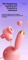 Doble vibración huevos control de la aplicación de silicona succión clitoris estimulación vibrador juguetes sexuales para las mujeres masturbación masajero - details 2