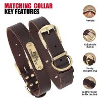 perro cuero auténtico, conjunto de Collar personalizado mascotas correa, placa con grabado gratis para perros pequeños, medianos - details 3