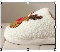 rtoon Elk Slippers Zapatos de interior ligeros para hombres y mujeres - details 3