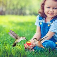Alimentador de colibrí con Clip para el hogar, minibotella de agua de plástico para alimentación de aves, jardín, balcón, alimentador de aves al aire libre - details 7