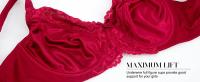 sujetadores con aros para mujer, minimizador Floral de encaje, cobertura completa, sin relleno, sin forro, soporte cómodo para el día a día - details 12