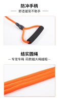 Correa para caminar para perros grandes, medianos y pequeños, correas para el pecho, collares, suministros para mascotas de piel dorada de peluche - details 12