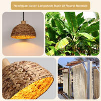 LEFAN-Lámpara de ratán decorativa para restaurante y tienda, accesorio creativo de bambú para dormitorio, sala de estar y Antlque - details 5