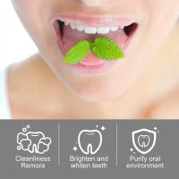Pasta de dientes limpiadora, limpieza profunda de dientes, mejora el diente amarillo, aliento fresco, elimina manchas, eliminación de cálculo, cuidado bucal, 150g - details 6