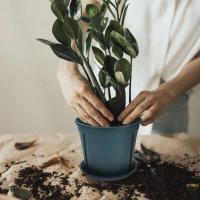 5 juegos de bandejas florales de plástico con orificios de drenaje, decoración de jardinería ETA, ventana CA, interior ETRO - details 4