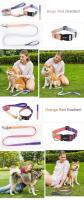 Correa tracción Collar gato, adecuada perros pequeños y grandes, Bulldog, Pugs Beagle, correa ustable de nailon para perro - details 4